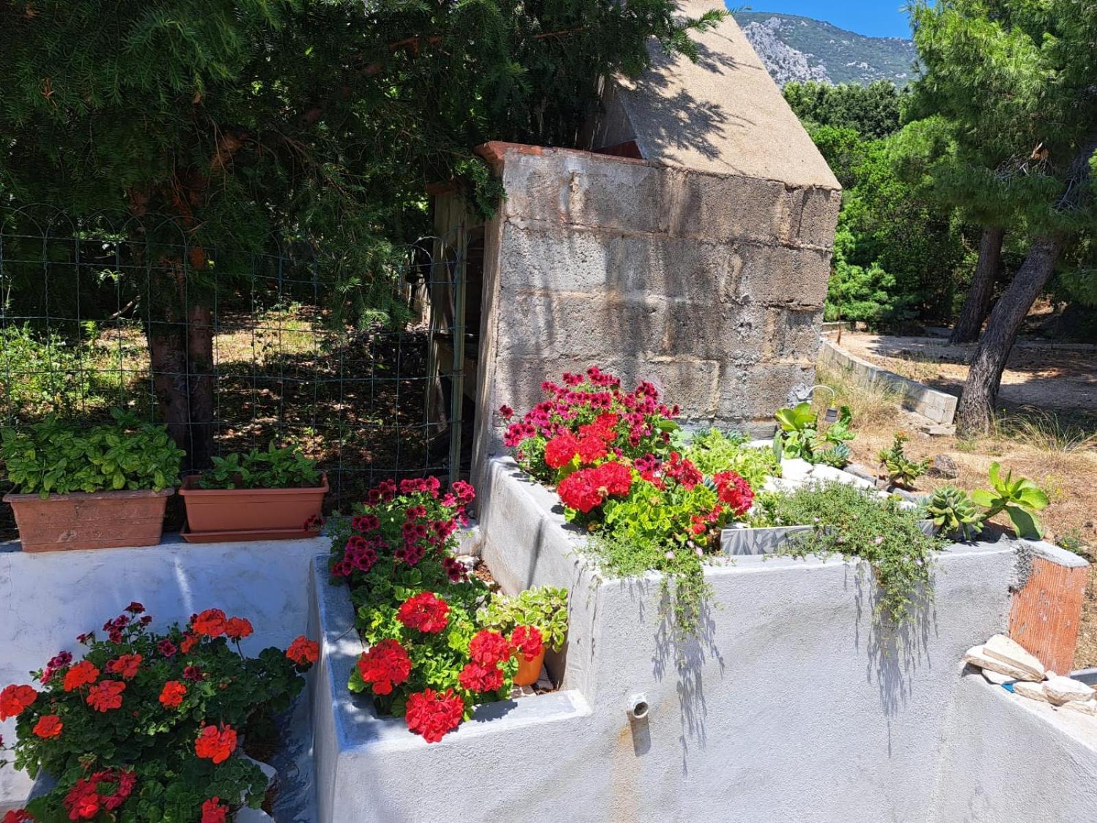 Domus De Mare Apartment Cala Gonone Exterior foto